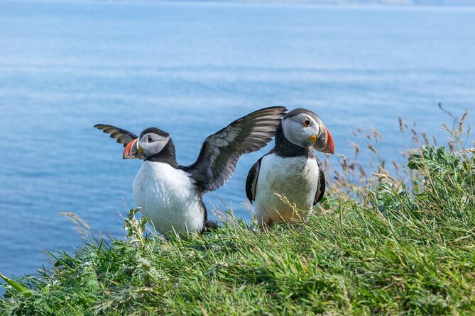 1 Day Moray Coast Tour with Speyside Whisky from Inverness - Key points to know before you book