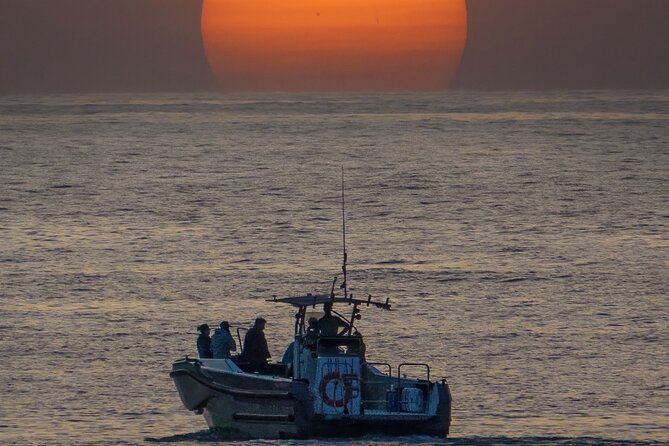 "2 bays, mornings, afternoons, sunset with a glass of cava - Key points to know before you book