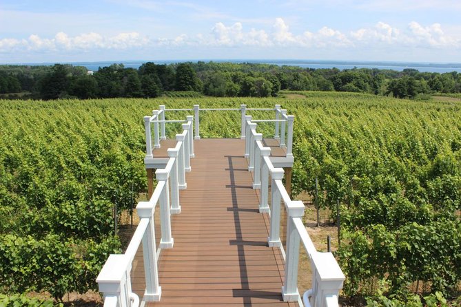 5-Hour Traverse City Wine Tour: 4 Wineries on Old Mission Peninsula - Stop four: Bonobo’s small but focused selection