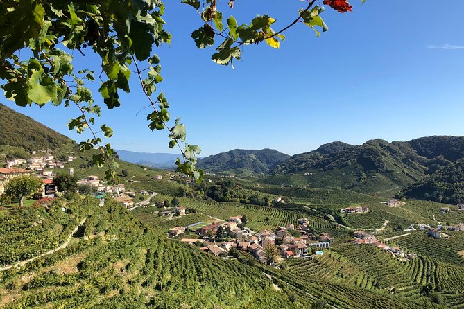 A Sparkling Day in the Prosecco Hills from Venice - Why this is a strong day trip from Venice