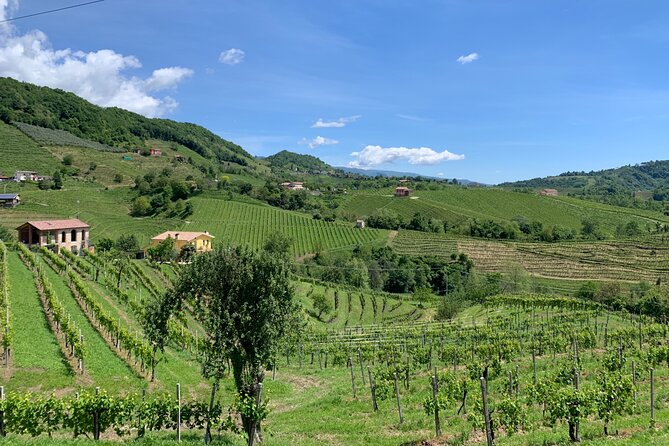 A Sparkling Day in the Prosecco Hills from Venice - A viewpoint, castle, or quiet hill stop
