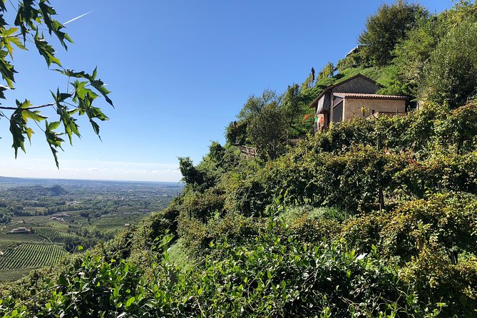 A Sparkling Day in the Prosecco Hills from Venice - The second winery near Conegliano