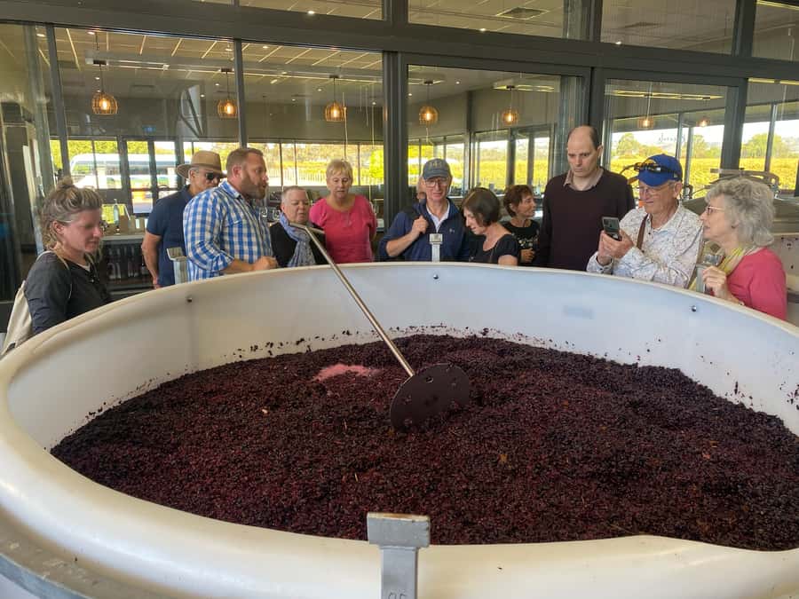 Adelaide: Barossa Premium Wine Tasting tour & Winery Lunch - Menglers Hill puts the Barossa in view