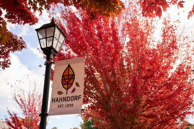 Adelaide Highlights, Hahndorf & McLaren Vale Wine Tasting and Sightseeing Tour - Chapel Hill Winery in McLaren Vale