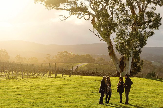 Adelaide Hills & Hahndorf Hop-On Hop-Off Wine Tour - A flexible way into the Adelaide Hills