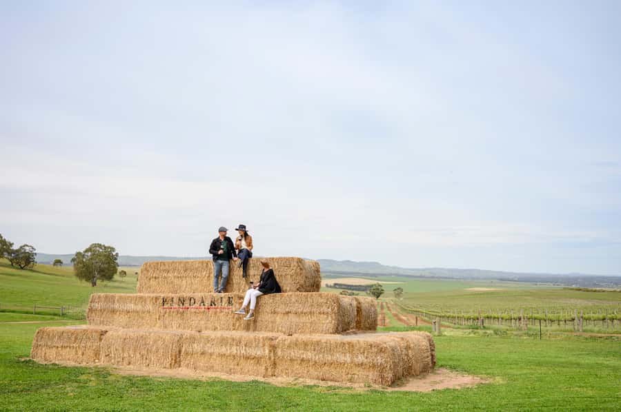 Adelaide: Small Group Tour of Barossa, Wineries with Lunch - Pindarie begins with wine and morning tea