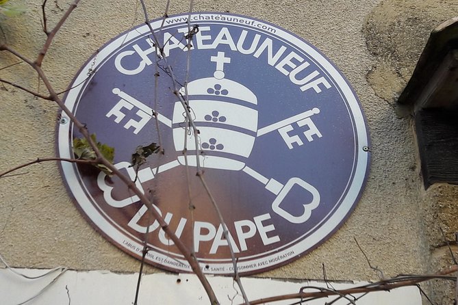 Afternoon Wine Tour to Chateauneuf du Pape from Avignon - The ride through Rhône Valley vineyards