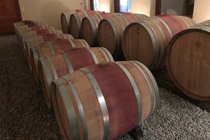 Afternoon Wine Tour to Chateauneuf du Pape from Avignon - How the guides shape the experience