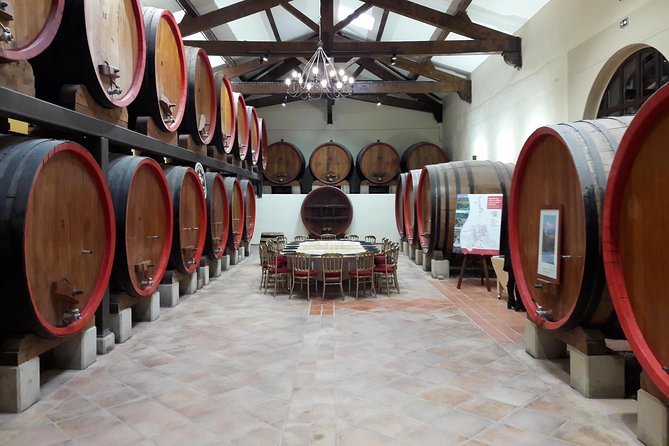 Afternoon Wine Tour to Chateauneuf du Pape from Avignon - Who should book this afternoon