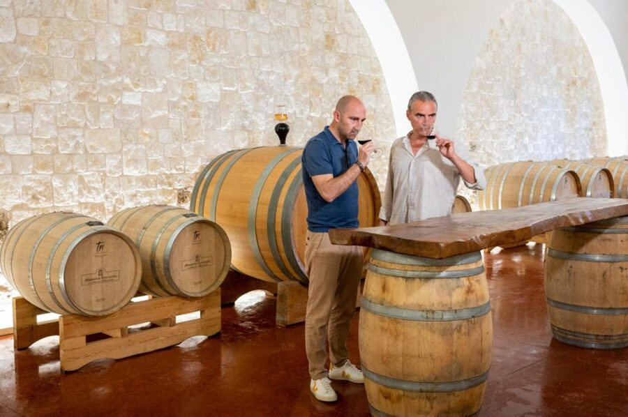Alberobello: Winery Tour with Wine and Food Tasting - Key points to know before booking
