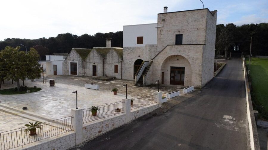 Alberobello: Winery Tour with Wine and Food Tasting - Starting among the vines near Alberobello