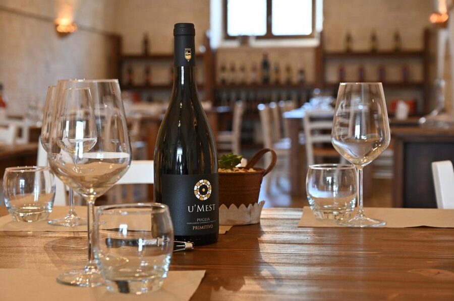 Alberobello: Winery Tour with Wine and Food Tasting - Should you book the Alberobello winery tour?