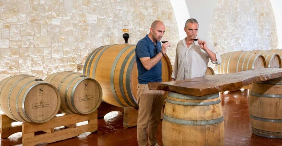 Alberobello: Winery Tour with Wine and Food Tasting - The vineyard and winery tour