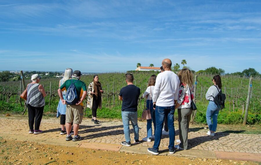 Albufeira: City Highlights & WINE TASTING - Key points to know before booking