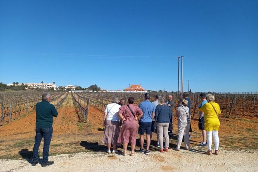 Albufeira/Vilamoura: Winery Tour with Wine Tasting and Tapas - What the $69 price really covers