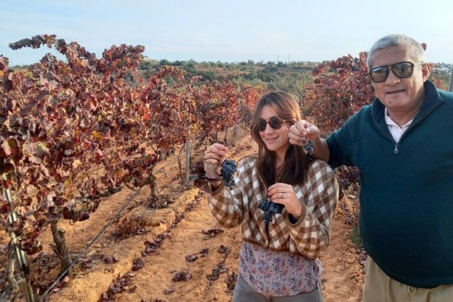 Albufeira/Vilamoura: Winery Tour with Wine Tasting and Tapas - Walking through Quinta do Canhoto