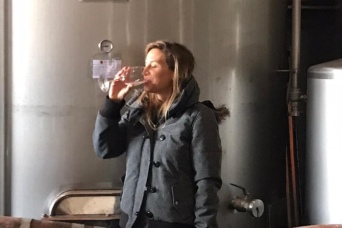 Albufeira Wine Tasting: Boutique Winery Tour & Historic Silves - The guides make a real difference