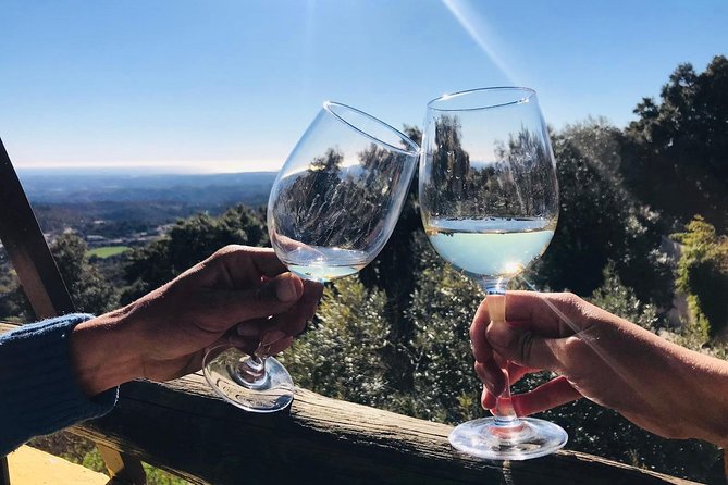 Albufeira Wine Tour: 2 Vineyards, 6 Tastings & Historic Silves - What the $108.84 price really covers