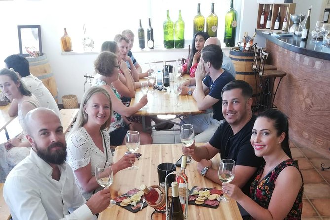 Albufeira Wine Tour: 2 Vineyards, 6 Tastings & Historic Silves - Who should book this Algarve wine tour
