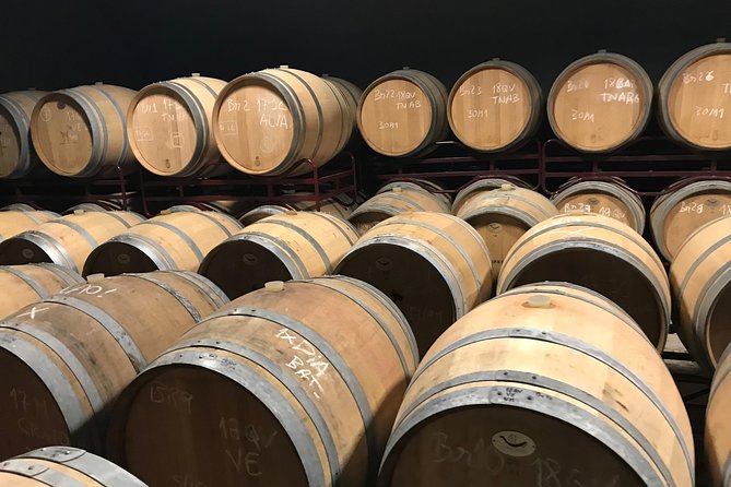 Albufeira Wine Tour: 2 Vineyards, 6 Tastings & Historic Silves - Practical tips for a better day