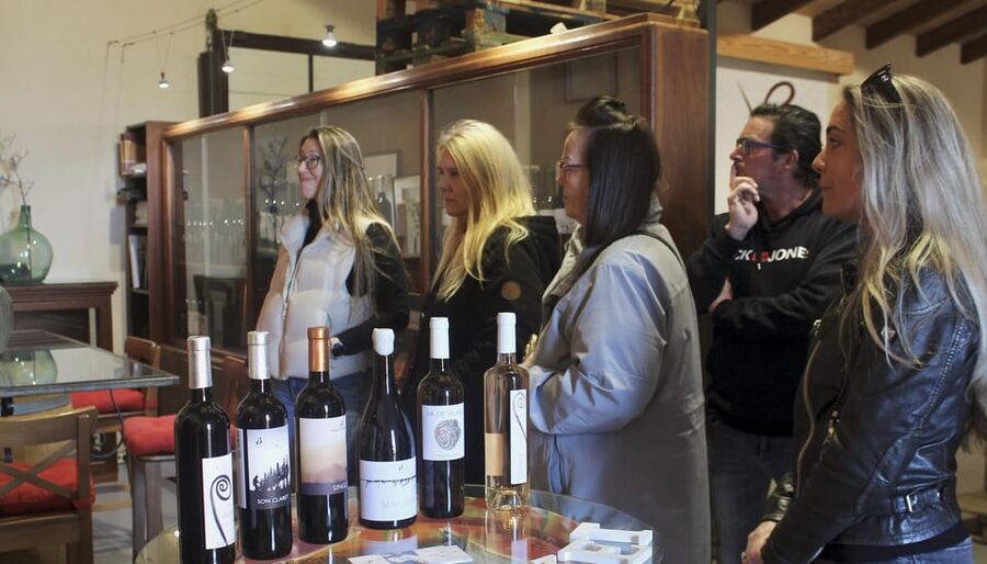 Alcúdia/Can Picafort: Guided Vineyard Visit and Wine Tasting - Practical details before you go