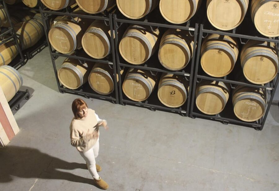 Alcúdia/Can Picafort: Guided Vineyard Visit and Wine Tasting - Five wines with local snacks