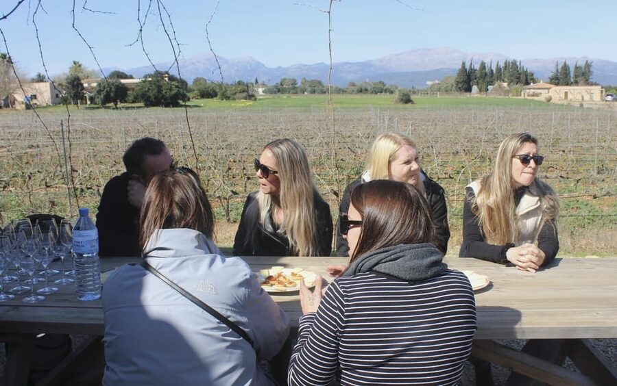 Alcúdia/Can Picafort: Guided Vineyard Visit and Wine Tasting - The tasting terrace and countryside views