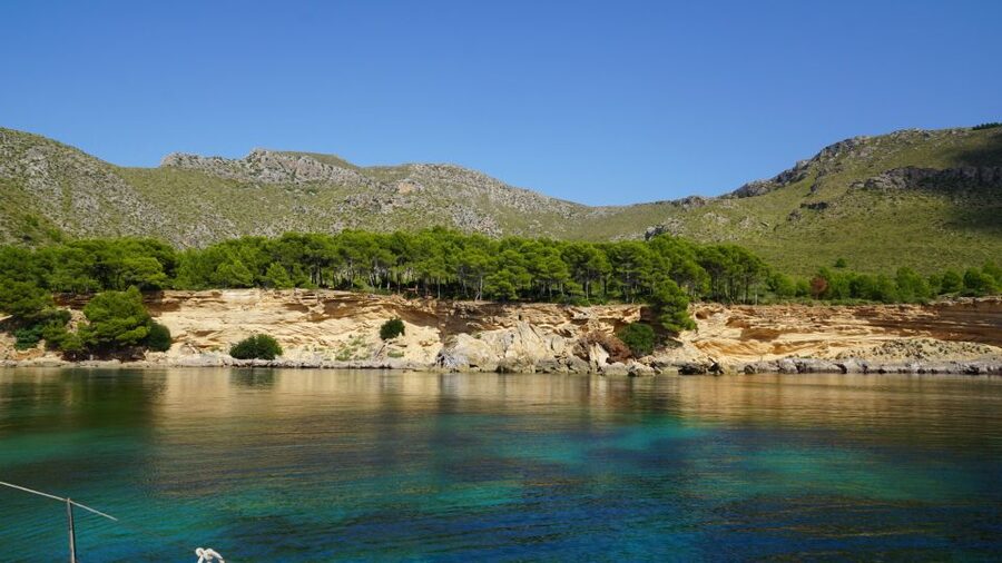 Alcudia: Sailing Yacht Excursion with Wine & Tapas - Is $147 a fair price?