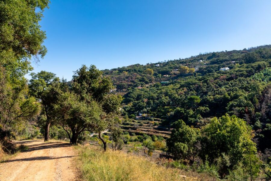 Algarve: Jeep Safari with Distillery Visit & Lunch - A generous Portuguese lunch away from the coast