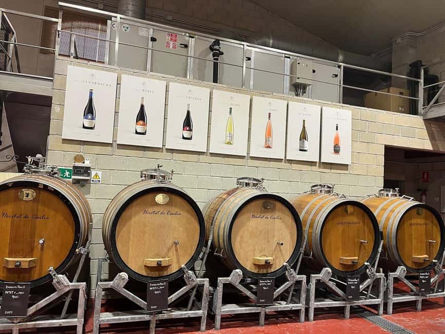 Alicante: Old Winery with Tastings & Gaudí's style of Church - Tasting Three Wines in the Restaurant
