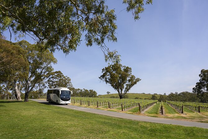 All Inclusive Barossa Valley Food and Wine Tour - Key points to know before booking
