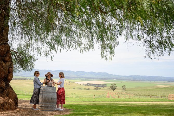 All Inclusive Barossa Valley Food and Wine Tour - What this Barossa day actually delivers
