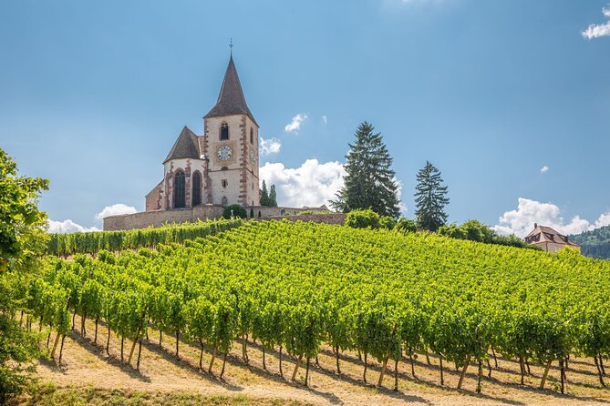 Alsace Full Day Wine Tour from Colmar - Why this Alsace day works so well
