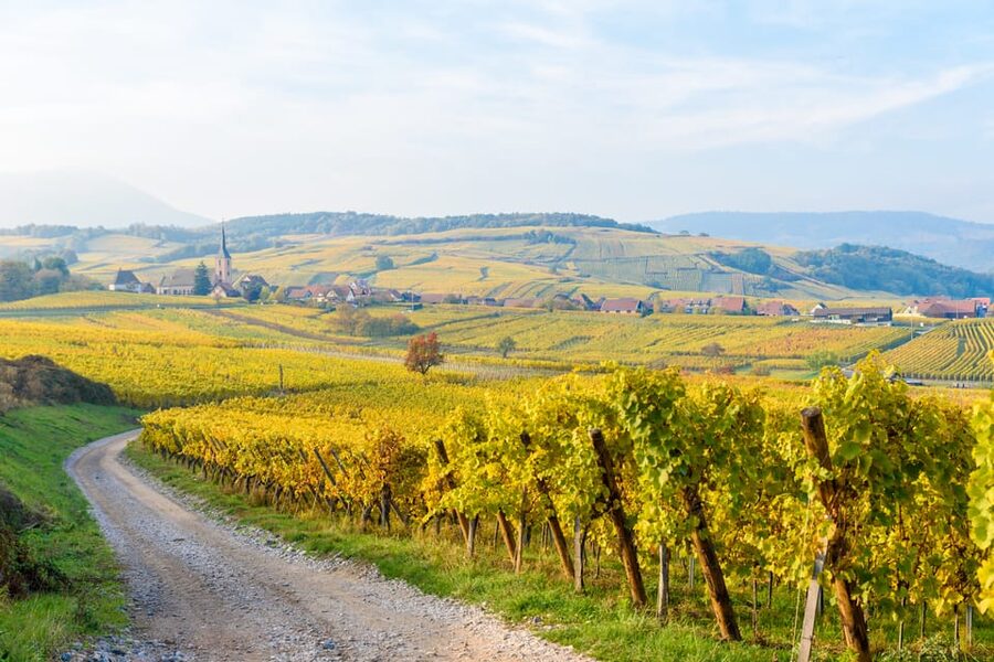 Alsace: Full-Day Wine Tour & Tastings from Strasbourg - Why this Alsace wine day works