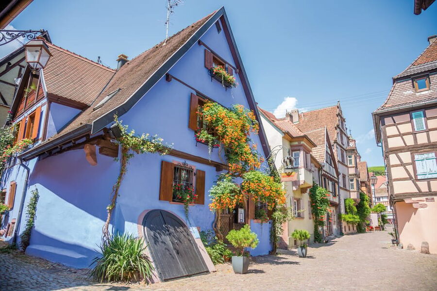 Alsace: Full-Day Wine Tour & Tastings from Strasbourg - What the $253 price buys you