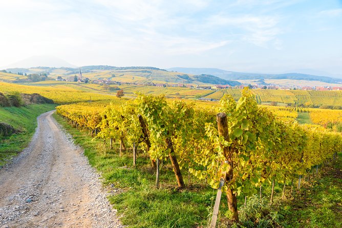 Alsace Half Day Wine Tour from Colmar - Village time, viewpoints, and local history