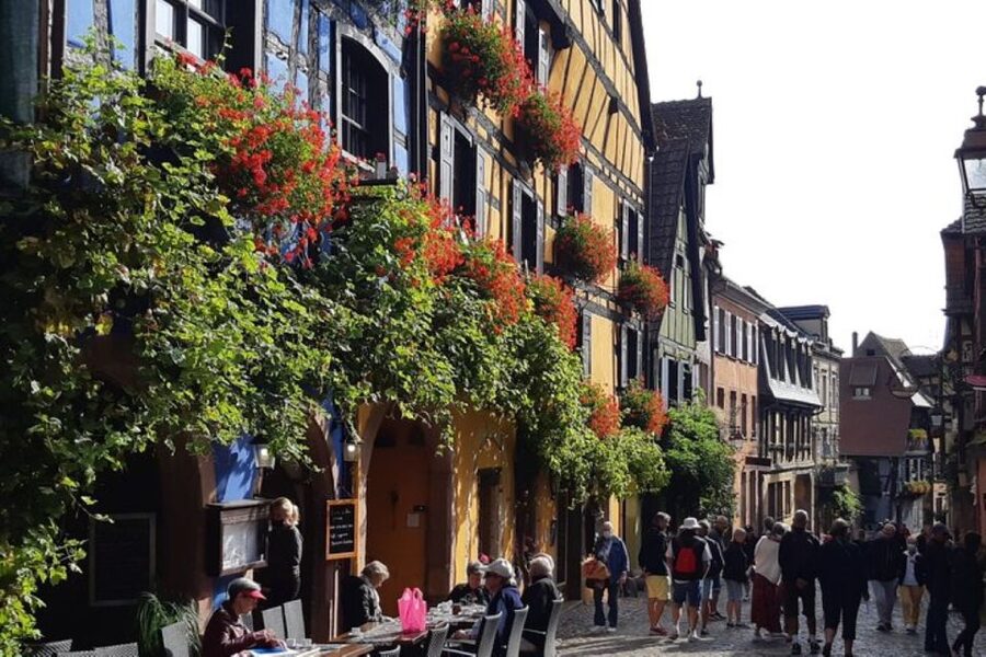 Alsace: Half-Day Wine Tour from Colmar - Who should book this tour?