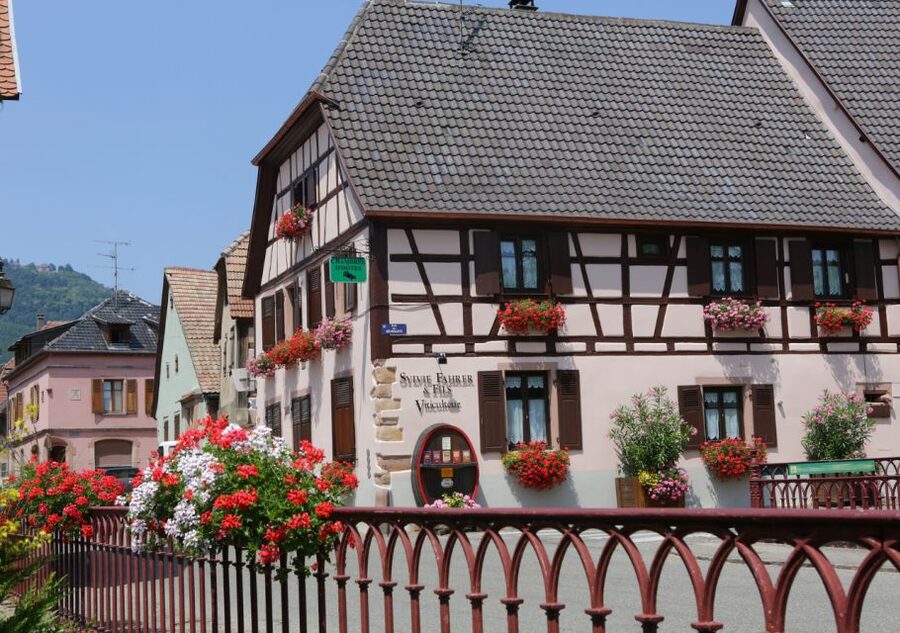 Alsace: Winery Tour and Alsatian Wine Tasting ENGLISH - The guide and the tone of the visit