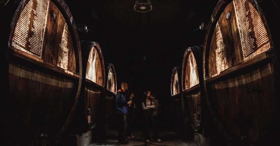 Alsatian Guided Wine Tasting and Immersive wine cellar tour - Five glasses that explain Alsace