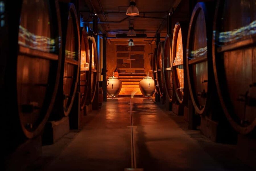 Alsatian Guided Wine Tasting and Immersive wine cellar tour - What the $22 price gets you