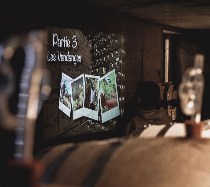 Alsatian Guided Wine Tasting and Immersive wine cellar tour - Who will enjoy this Alsace wine tour