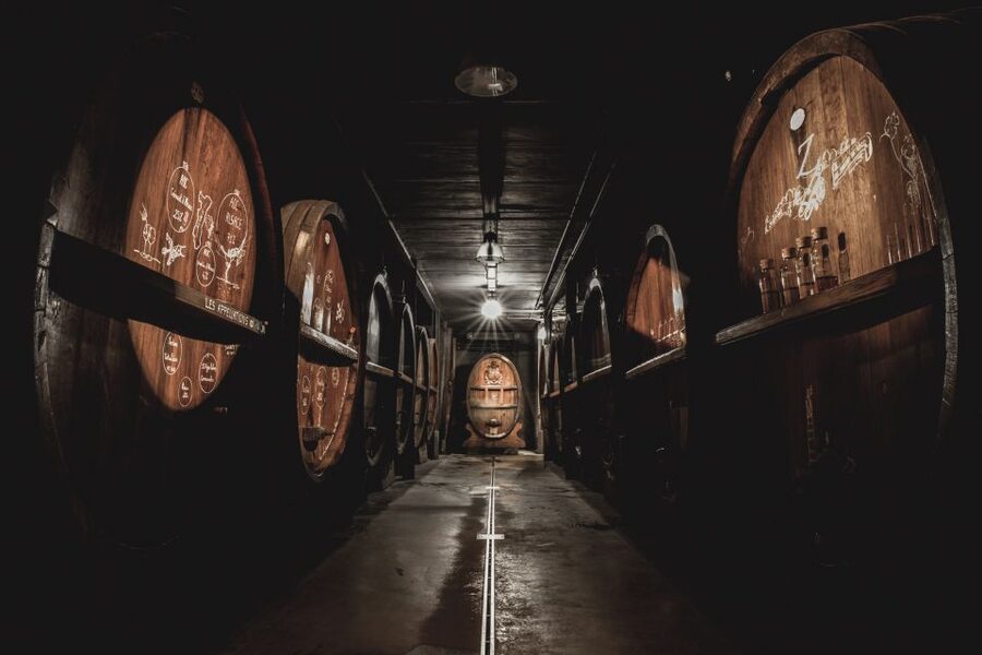 Alsatian Guided Wine Tasting and Immersive wine cellar tour - Language, timing, and booking advice