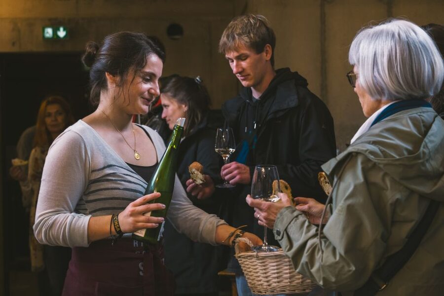 Alsatian Guided Wine Tasting and Immersive wine cellar tour - Should you book Vins Zeyssolff?