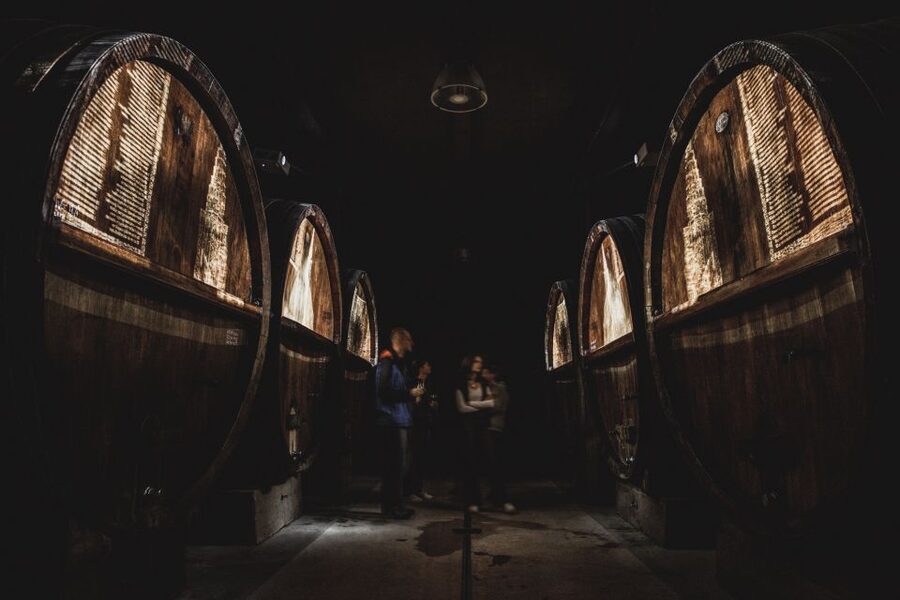 Alsatian Guided Wine Tasting and Immersive wine cellar tour - Old oak barrels with a working purpose