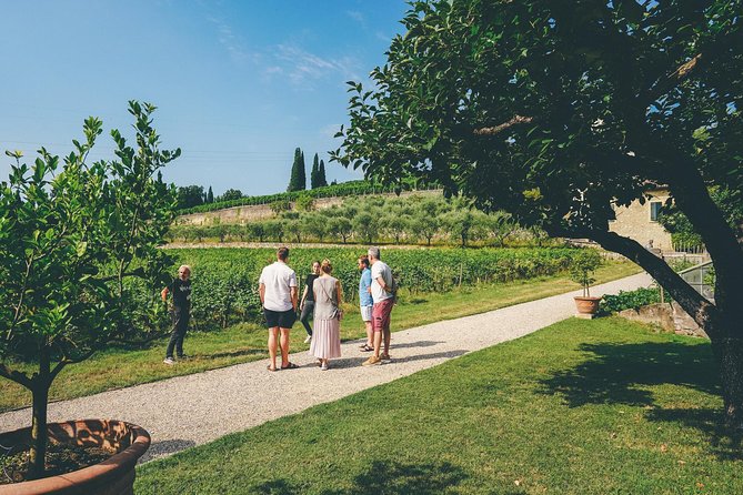 Amarone Wine-tasting Tour from Verona with Private Transportation - The small-group format makes a real difference