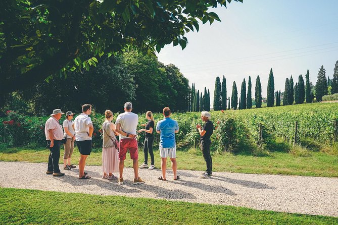 Amarone Wine-tasting Tour from Verona with Private Transportation - Is $151.23 a fair price?