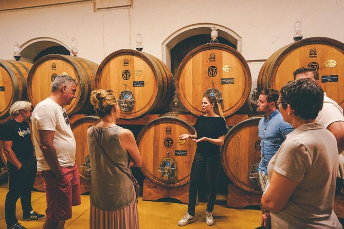 Amarone Wine-tasting Tour from Verona with Private Transportation - First winery: family stories and the making of Amarone