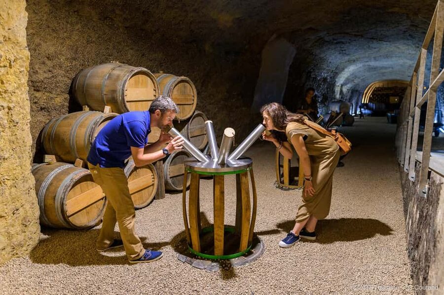 Amboise: Caves Ambacia Visit and Wine Tasting - Guides make the difference