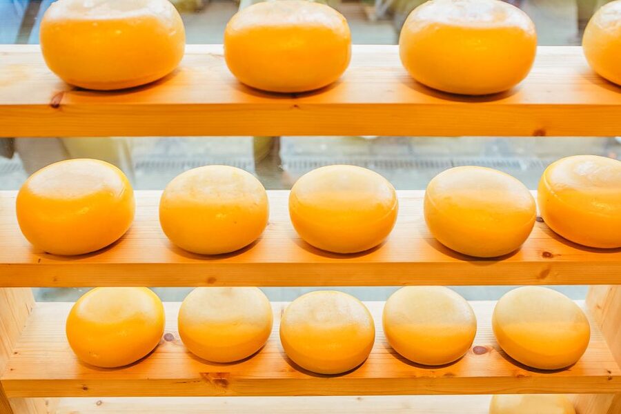 Amsterdam: Premium Henri Willig Cheese Tasting Experience - Drinks that make the tasting feel like a social break