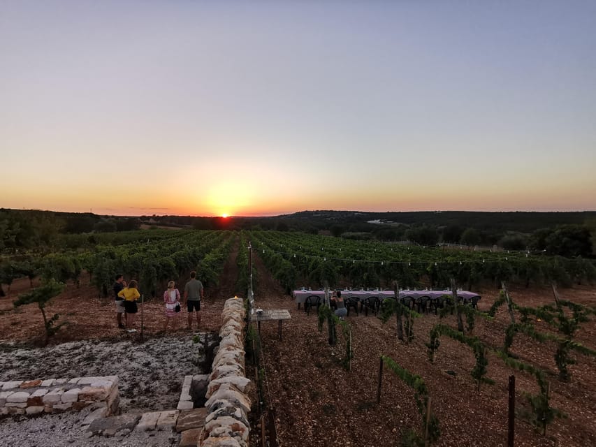 Apulia: Guided Wine Tasting with Local Appetizers - Starting among the Itria Valley vines